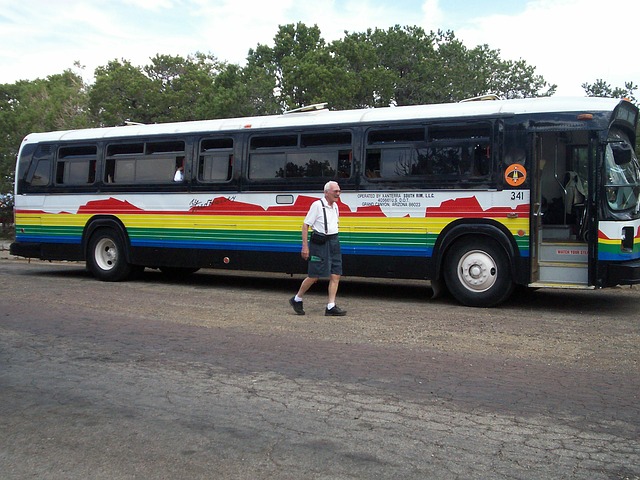 bus-185964_640